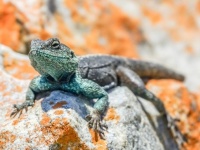 インスタで話題の「肛門日光浴」本当に効果あるのか？