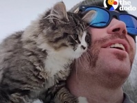 極寒の雪山に子猫が！助けた男性が子猫に名前をつけるまで