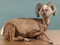 近未来の人類の進化した姿なのか？人間と動物を合体させたリアリティのあるハイブリッド彫刻