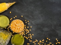 オーストラリアで遺伝子組み換え作物が解禁。人工的につくられた作物の安全性に関する科学的見解