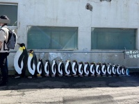 〝ペンギンの仲間〟になった写真家に9.6万人から羨望の眼差し　「わたしもなりたいっ」「入りたいです」