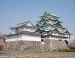 名古屋城は日本有数の人気を持っているのに…。Photo by Miya.m - Miya.m´s photo
