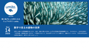 マルハニチロ株式会社のプレスリリース画像