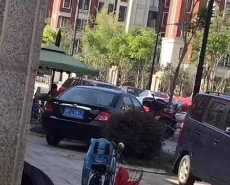 犬を引きずる車