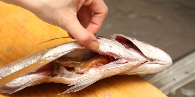 魚の内臓処理