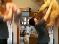 お父さんに筋肉が必要な理由。娘と大型犬にねだられ交互に「たかいたかい」