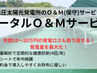 株式会社白崎コーポレーションのプレスリリース画像