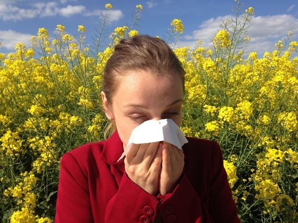 allergy_pixabay