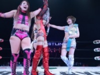 健闘を称え合うジャングル叫女らフリー女子選手