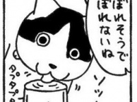 〝ギャンブラー〟すぎる猫に3.7万人ざわ...ざわ...　水分補給も移動も大切なのはスリルです！？