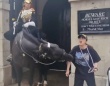 ロンドンの近衛騎兵の馬に近づきすぎた観光客女性が噛まれる