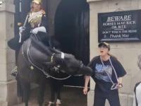 ロンドンの近衛騎兵の馬に近づきすぎた観光客女性が噛まれる