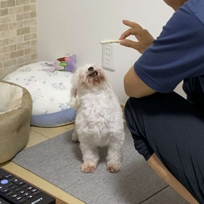 早くちょうだい～！