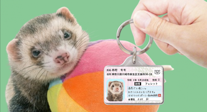 Daydream Labのプレスリリース画像