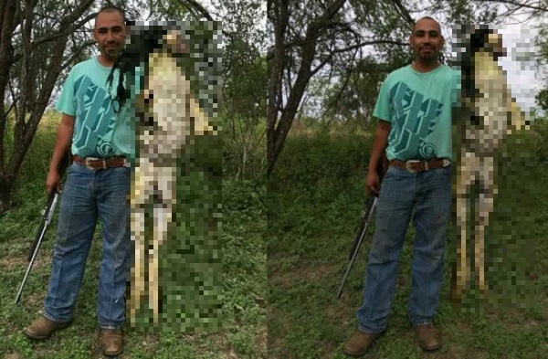 テキサス州で発見されたとされる6kgのウシガエルの写真がネットで物議