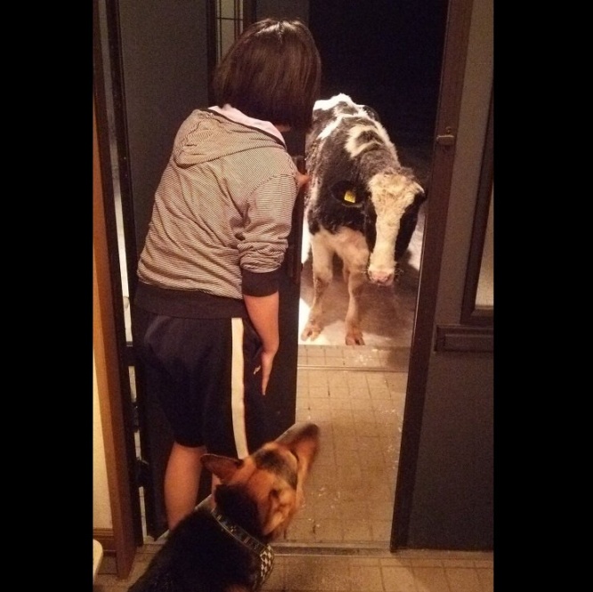 KimihikoFujisawa（＠LClucky777）さんのツイートより