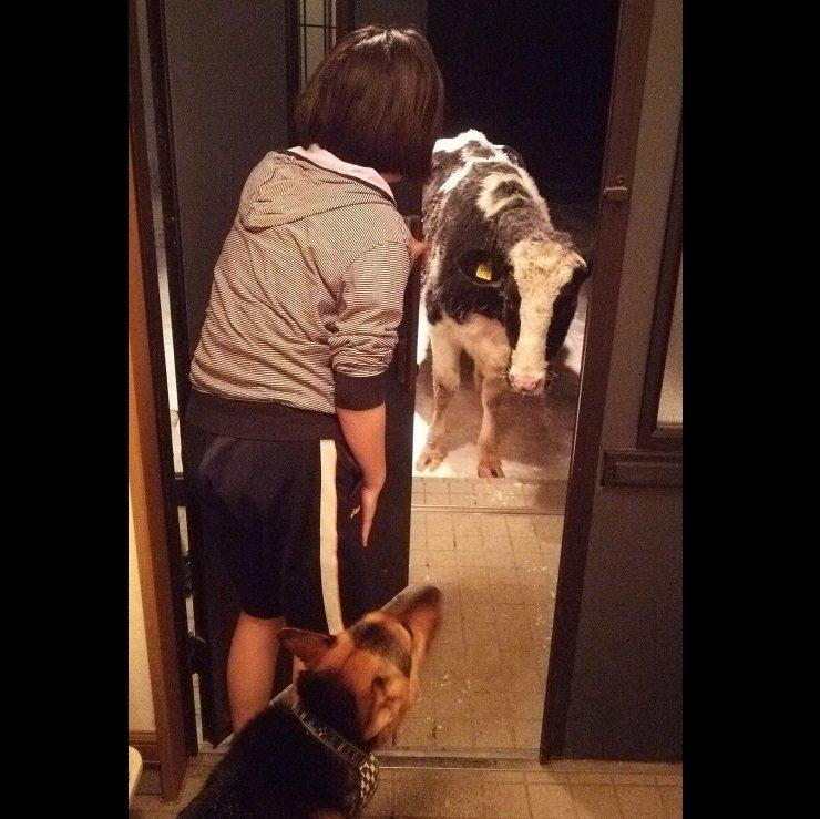 KimihikoFujisawa（＠LClucky777）さんのツイートより