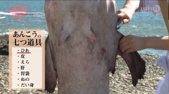 あっという間に頭と骨だけに（画像は、いばキラTVより）