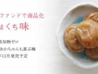 有限会社　深見梅店のプレスリリース画像