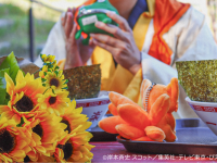 株式会社ニジゲンノモリのプレスリリース画像