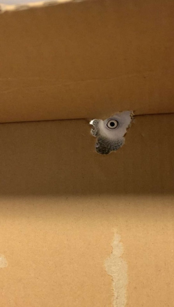 じ～～～～～～～～～（以下、画像はkillah＠killah60さんのツイートより）