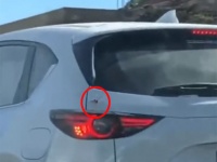 後続車は見た！やばそうなクモが車の中に侵入していく瞬間を。