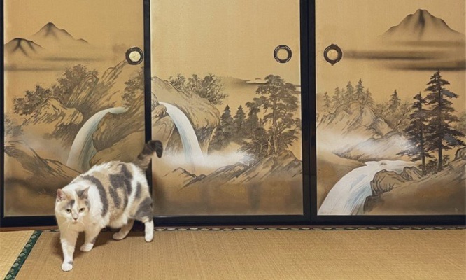 「やっと出られた」感がすごい　一休さんも仰天必至なニャンコの写真に大反響