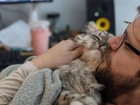 ずっとずっといっしょにいよう！ペットとやさしい世界を築いた飼い主たちの写真集