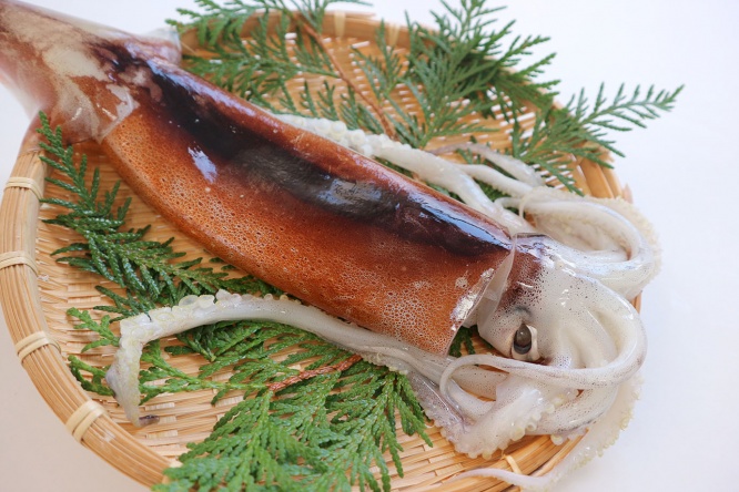 ika