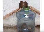 ネズミに悩むあなたに！　簡単にDIY出来て効果絶大なネズミ捕りがすごい。