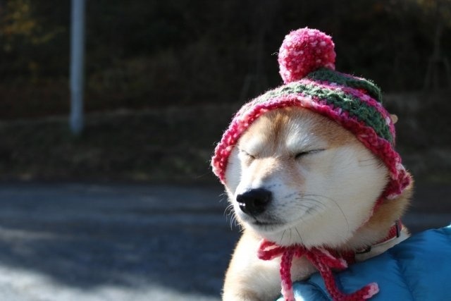 防寒はしっかり！（画像はイメージ）