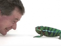 動物を撮影するのは本当に大変。その苦労がわかる舞台裏映像