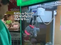クレーンゲームで象のぬいぐるみをゲット！と思いきやが景品口から出てきたのは生きた猫だった件