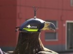 オランダではドローン対策に“あの動物”を教育していた！？