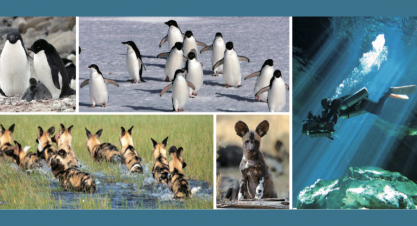 みなとみらいPRセンターのプレスリリース画像