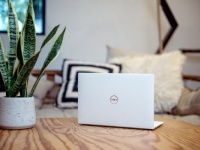 【心理テスト】オンライン恋活中、パソコンの背景は何にする？　「あなたにとっての大事なプライド」