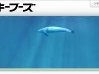 公式サイト
