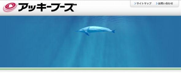 公式サイト