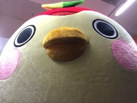 提供：ヒラオカコーポレーション