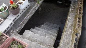 「ゲームでしか見たことない」「あの音が聞こえる」　〝ダンジョンの入り口〟すぎる階段に10万人興奮