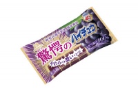 40周年記念の特別な“ハイチュウ”「驚愕のハイチュウ」「謹製ハイチュウ」数量限定で発売