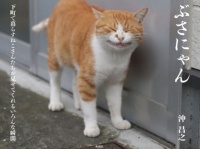 思わずシェアしたくなる“ねこ写真”が詰まった写真集「ぶさにゃん」新発売！
