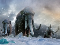 世界最古となる120万年前のマンモスのDNAを解読。進化の謎に迫る（シベリア）