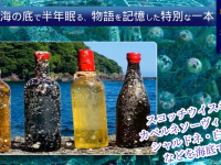 Potatoのプレスリリース画像