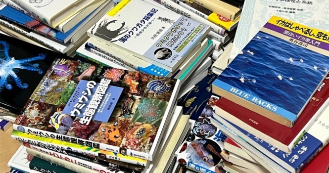 「あまり知られていないのですが...」 〝本の床置き〟で発生する現象に1.5万人注目「我が家は手遅れです」