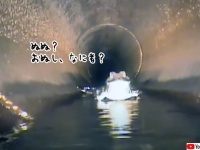 おぬし何者？排水管でワニがロボットと未知との遭遇。超絶接近した後どうなる！？