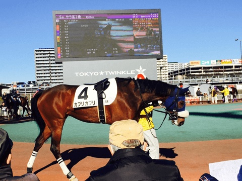 ロマンの宝庫・大井競馬場は4月からナイター開幕！　一人ナイター競馬を楽しむたった3つのコツ。#7