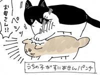 イタズラ子猫に母が繰り出す「うちの子がすいませんパンチ」　にゃんこの「子育て」、尊すぎ...