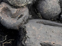 5000年前の仮面をつけた謎の小像が遺骨とともに発見される（ロシア・シベリア共同墓地）