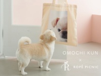 かわいすぎる。癒やし犬“おもちくん”とロペピクニックがスペシャルコラボ